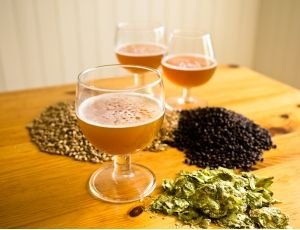 ingredientes-fazer-cerveja