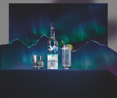 Grey Goose Night Vision