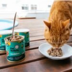 alimentação natural para pets