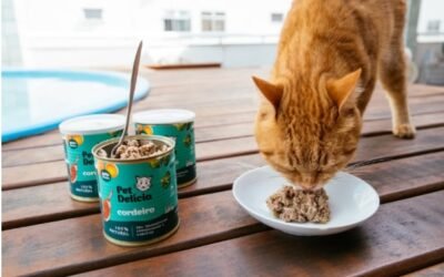 alimentação natural para pets