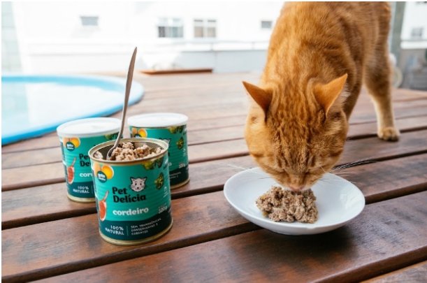 alimentação natural para pets