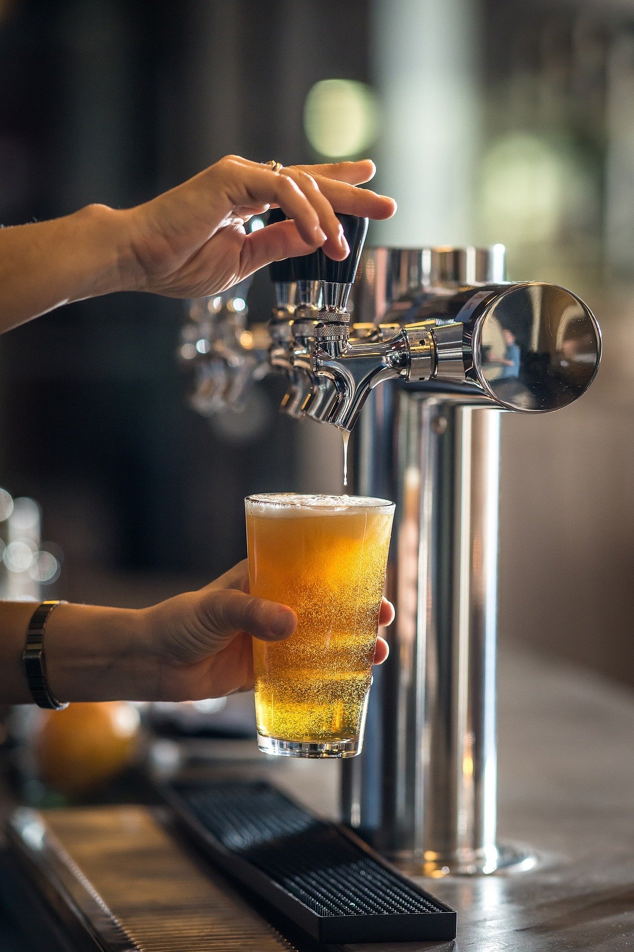 Dia Internacional da Cerveja - foto