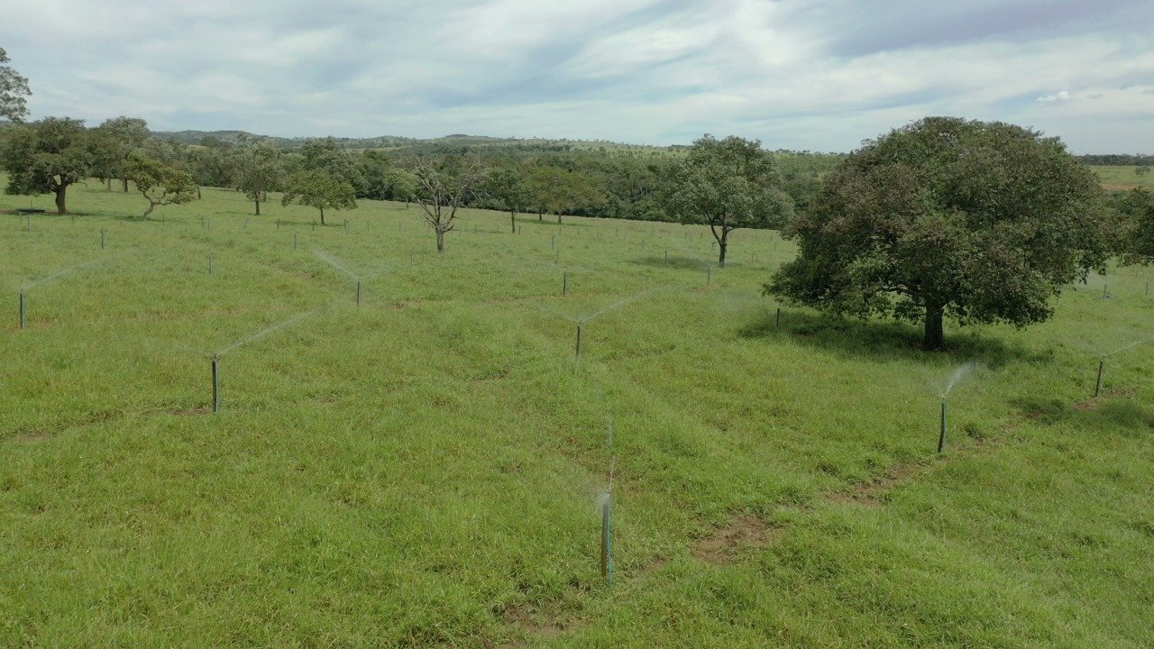reaproveitamento de água - foto