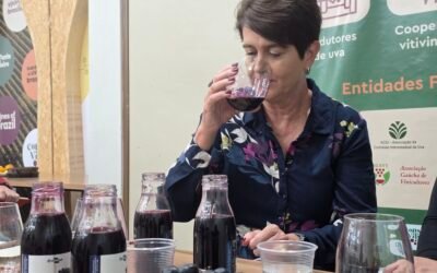 vitivinicultura brasileira