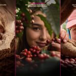Cafés especiais do Brasil