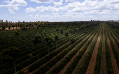 sustentabilidade Nespresso