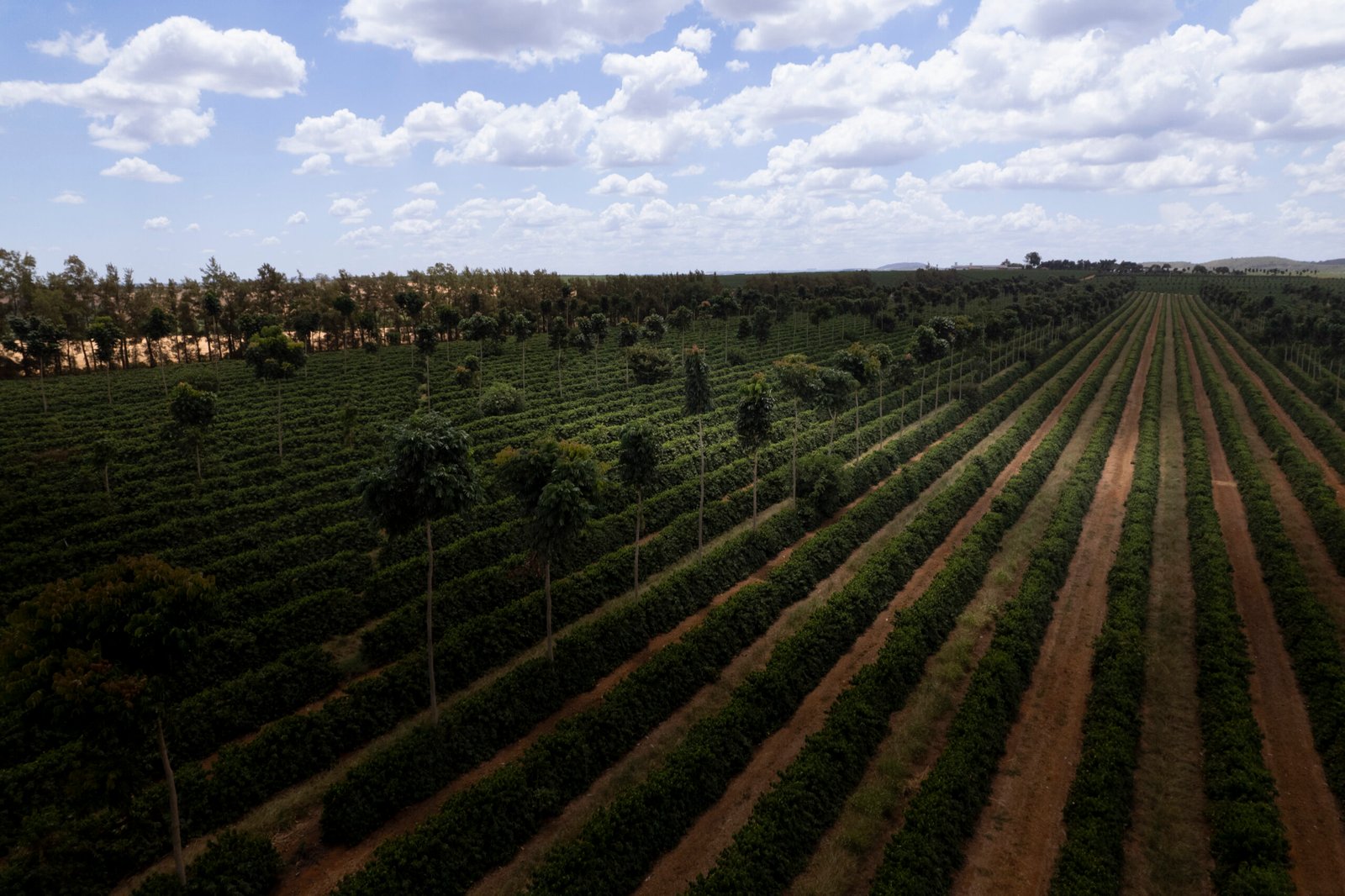 sustentabilidade Nespresso - foto