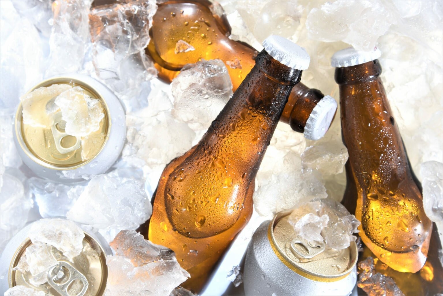 Dia Internacional da Cerveja - foto