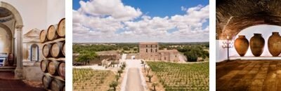 vinícolas no Alentejo