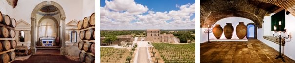 vinícolas no Alentejo