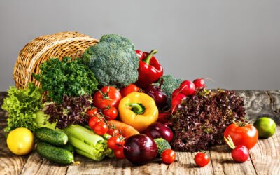 alimentos da estação
