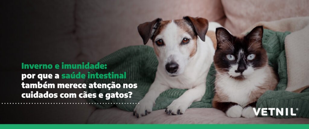 saúde intestinal