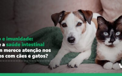 saúde intestinal