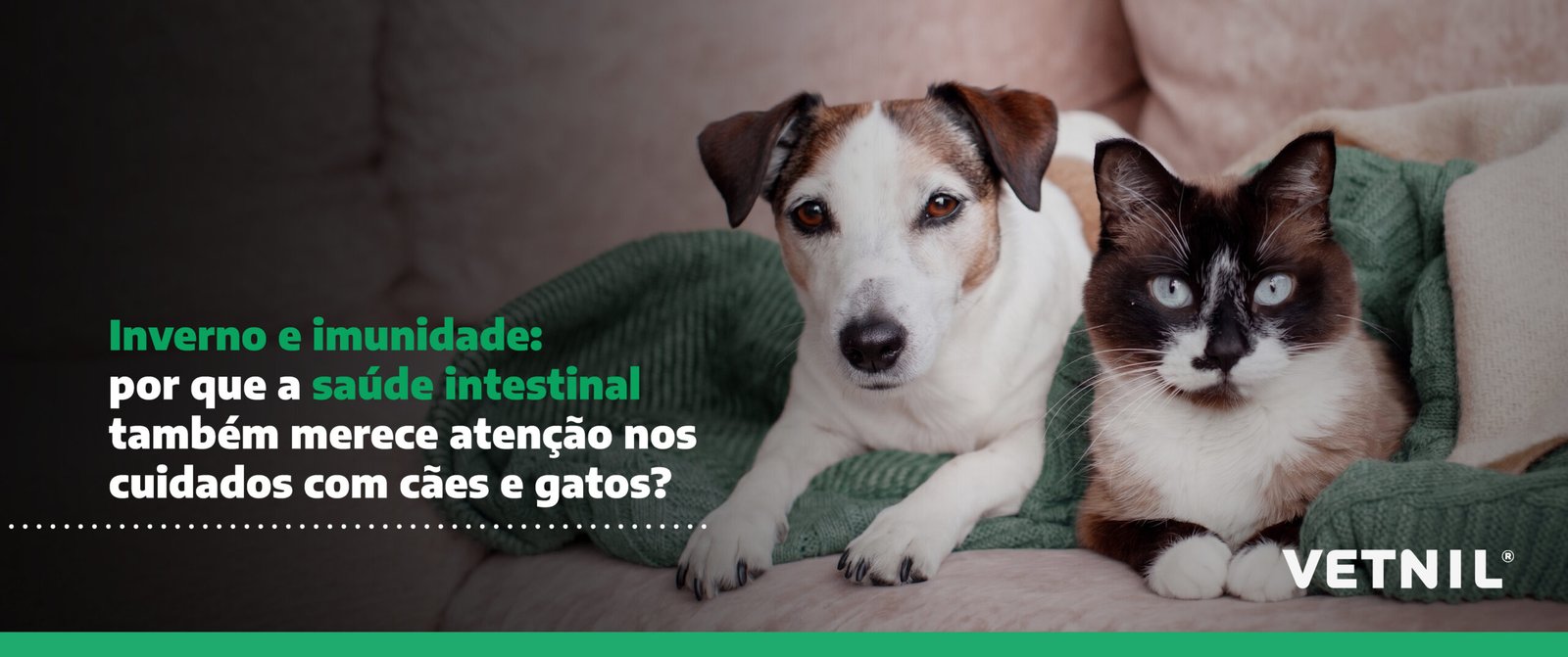 saúde intestinal - foto