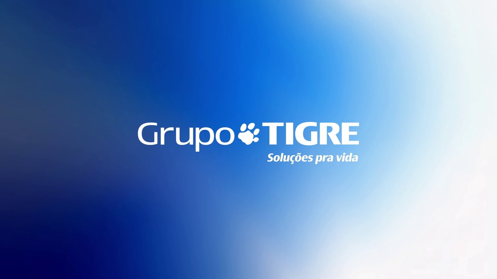 reposicionamento do Grupo Tigre - foto