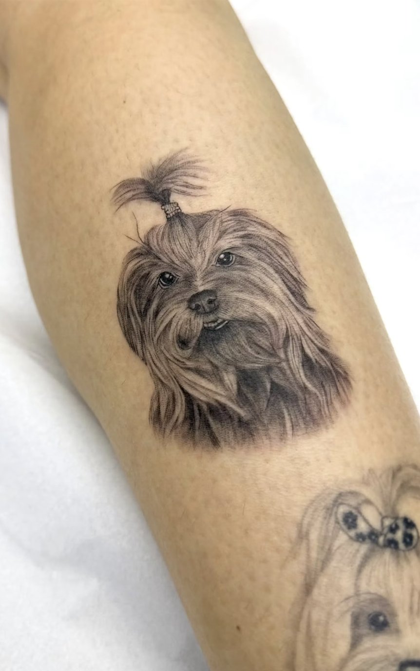 tatuagem de pet - foto