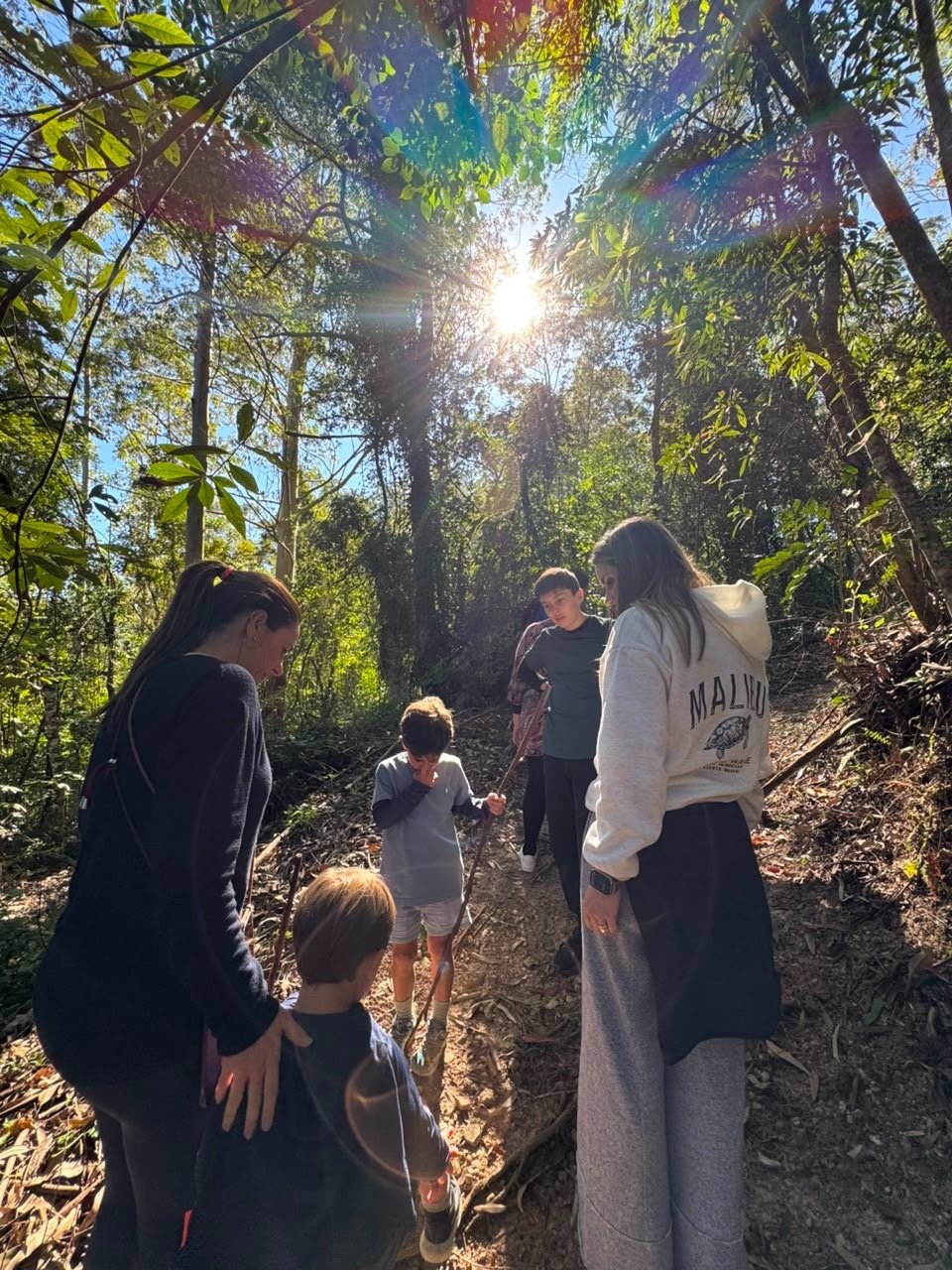Guardiões da Floresta - foto