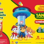 Ninho Fases que Nutrem Cada Aventura