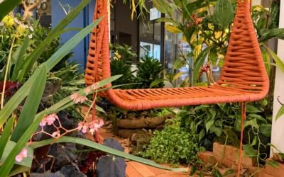 D&D Garden Design