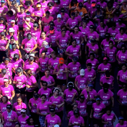 SP Pink Run