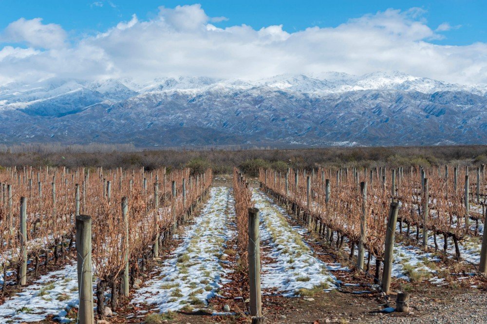 Mendoza além do Malbec