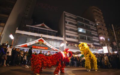 show de drones