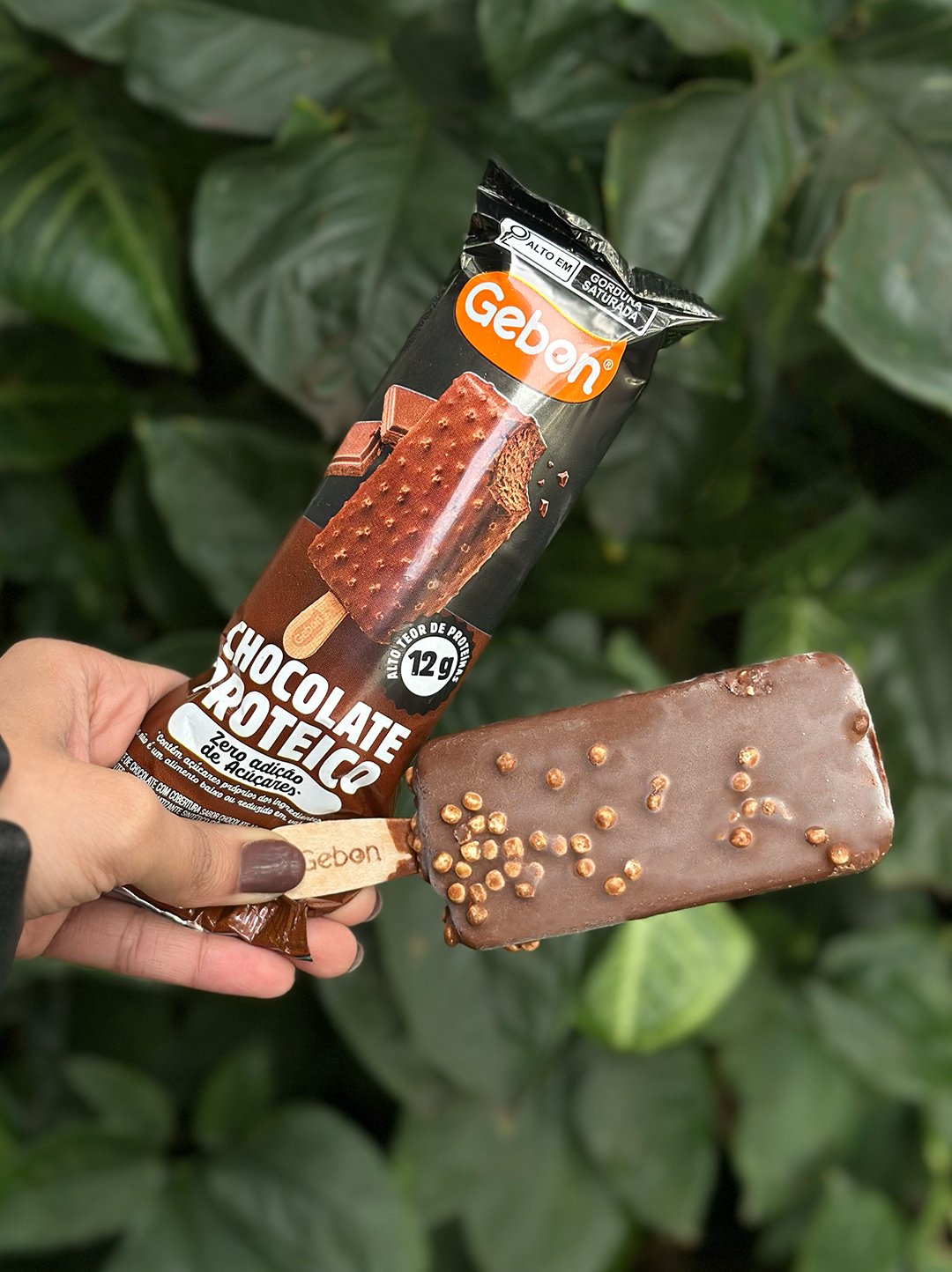 paleta proteica Gebon - foto