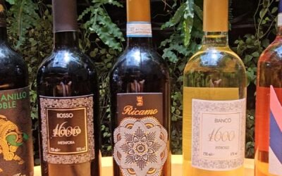 Festival de Vinhos