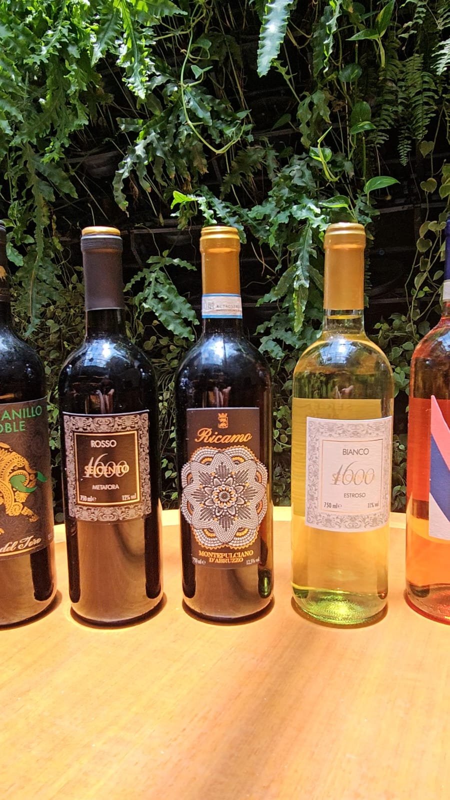 Festival de Vinhos