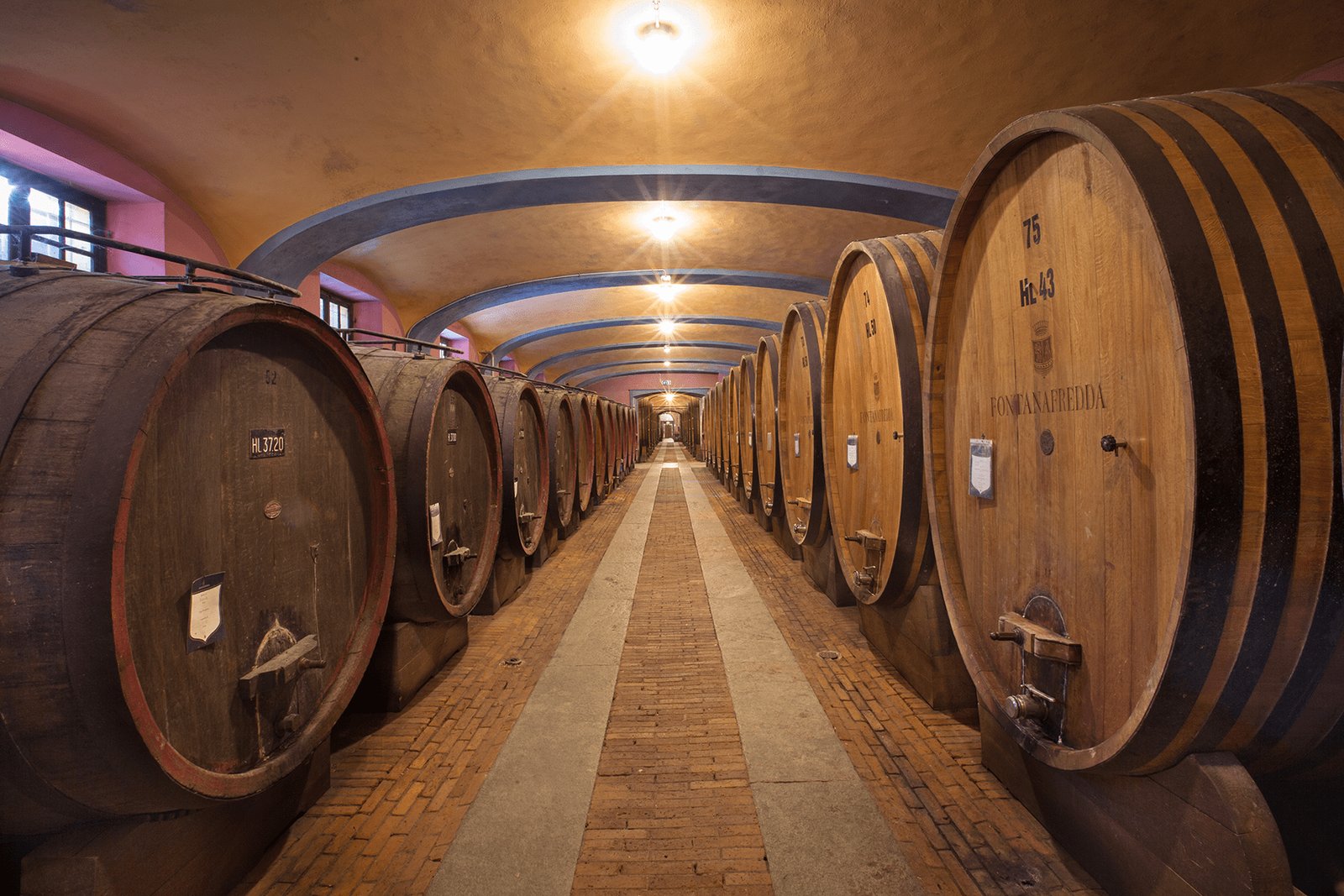 vinhos de guarda - foto