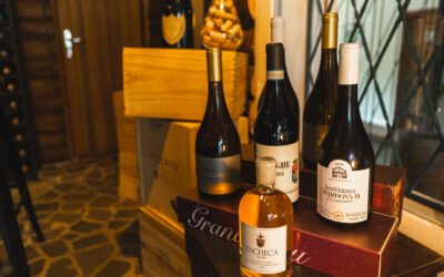 carta de vinhos