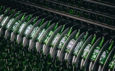 cerveja puro malte