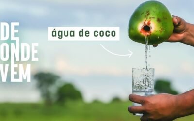 água de coco