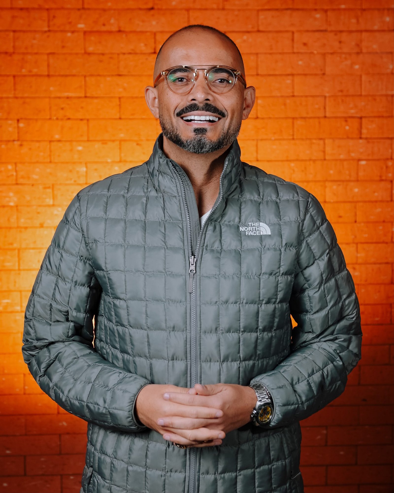 boi selvagem - foto