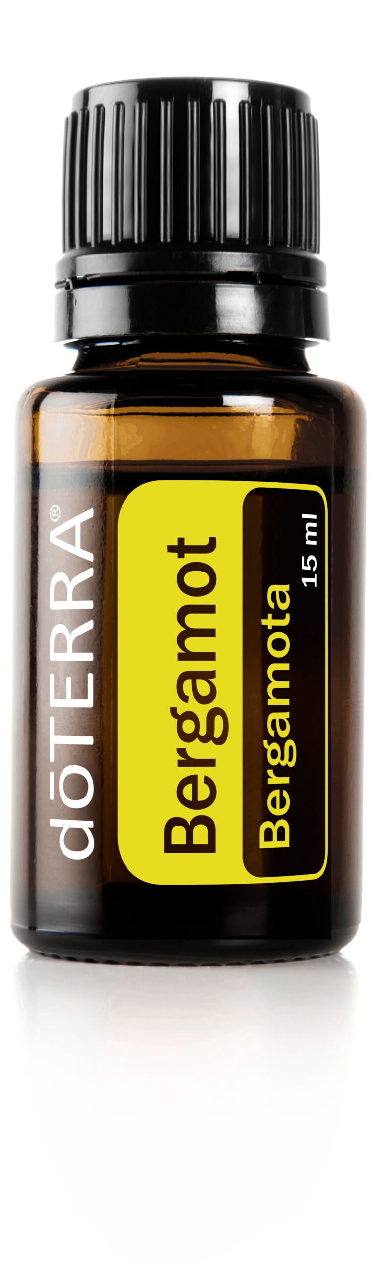 aromas que combinam com a primavera - foto
