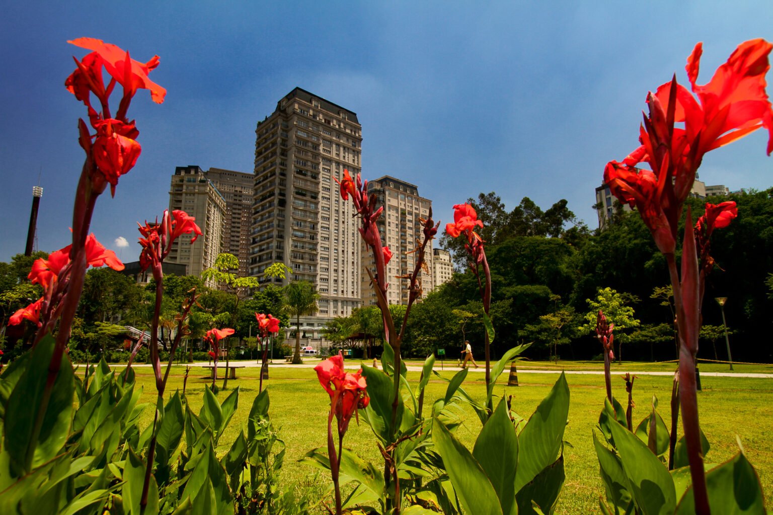 turismo de bairro - foto