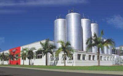 cerveja de trigo