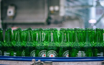 amargor à cerveja