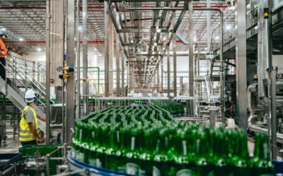 quanto tempo leva para uma cerveja ficar pronta