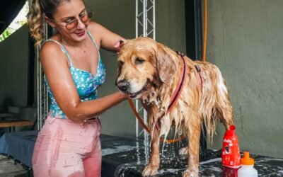 Estância Pet