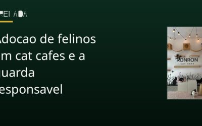 Adocao de felinos em cat cafes e a guarda responsavel