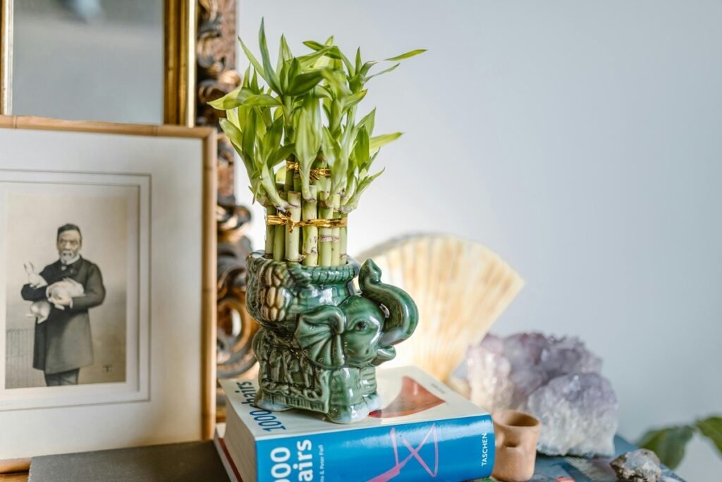 Renovar a energia da casa com Feng Shui na primavera