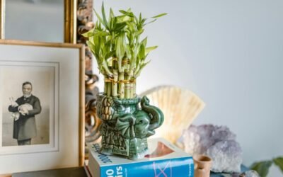 Renovar a energia da casa com Feng Shui na primavera