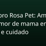 Outubro Rosa Pet: Ameaça do tumor de mama em gatas e cuidado