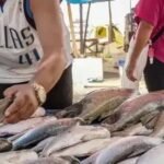 Seafood Show Latin America
