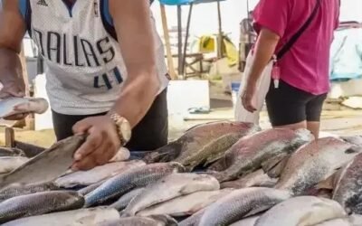 Seafood Show Latin America