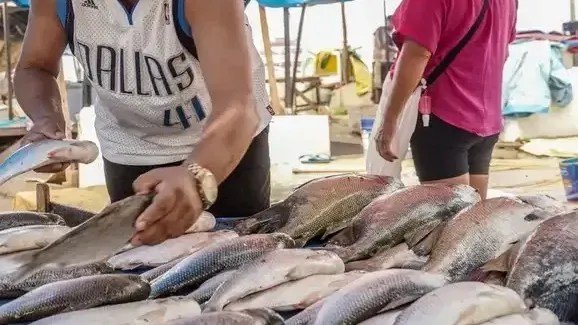 Seafood Show Latin America